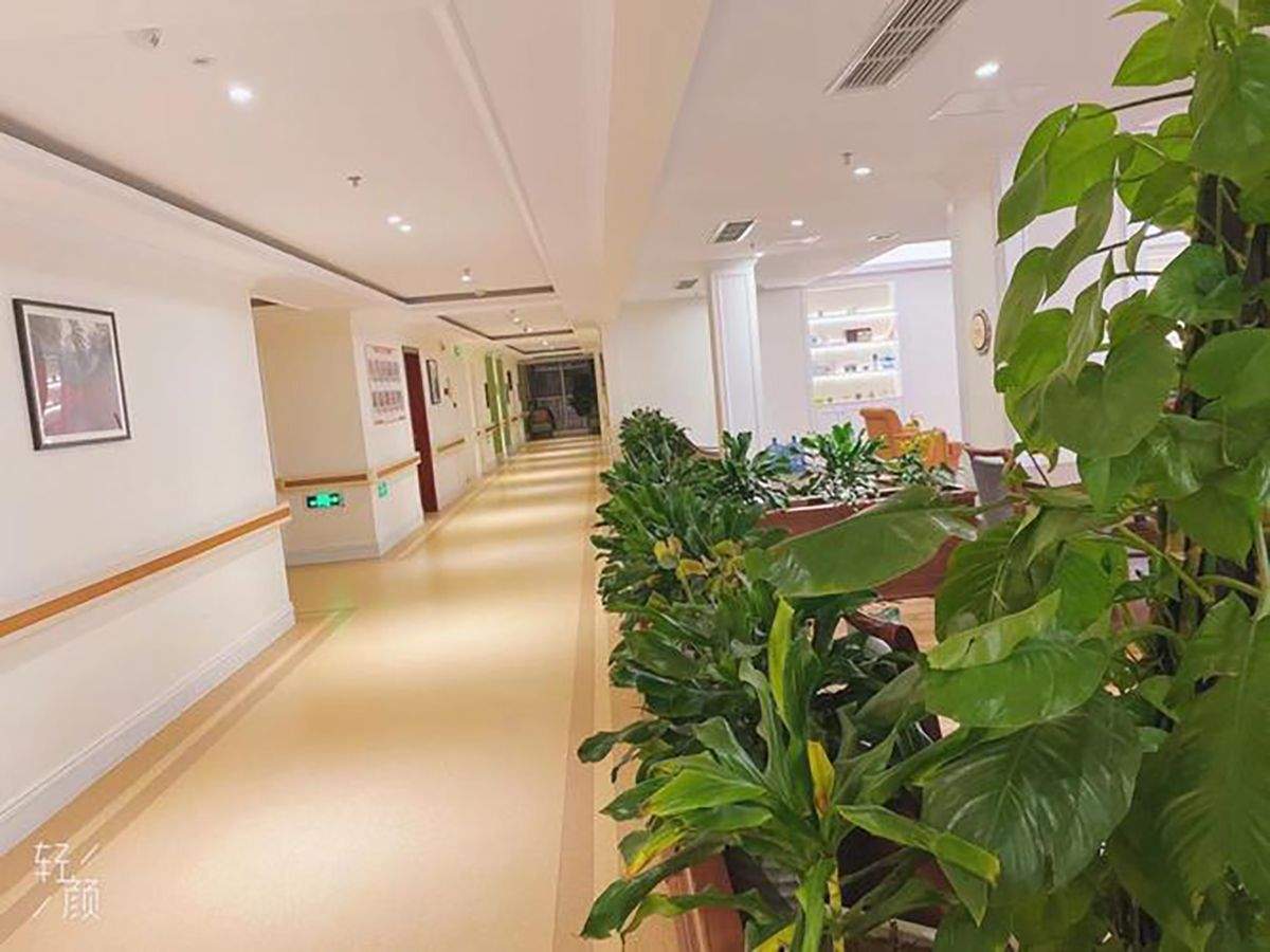 成都椿萱茂·珉湾长者社区：专业营养师与定制膳食服务解析