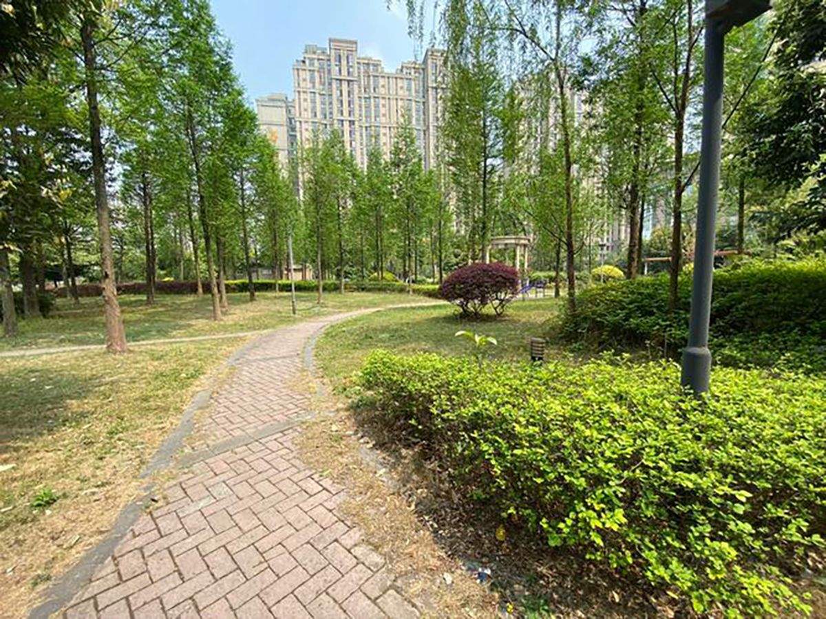 成都椿萱茂·珉湾长者社区：专业营养师与定制膳食服务解析