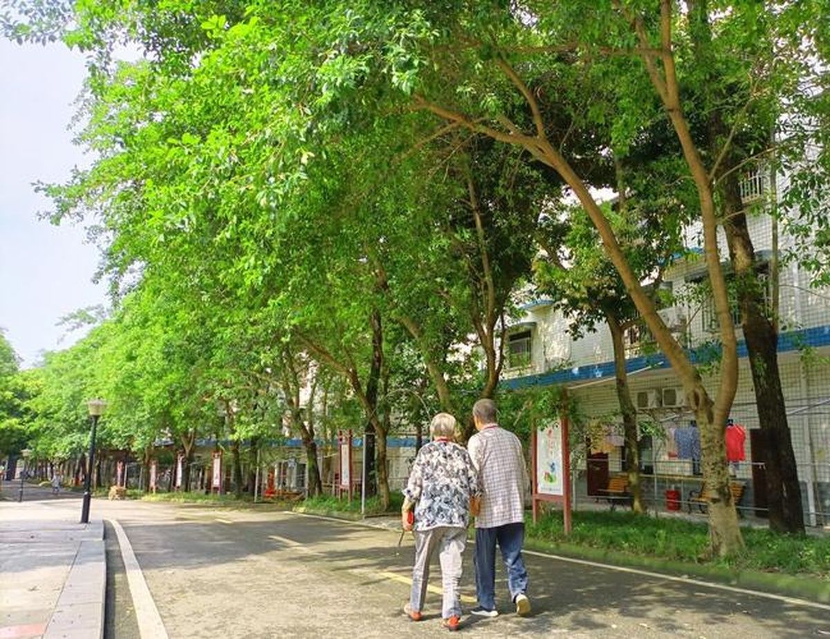 成都纯德养老中心实景图2