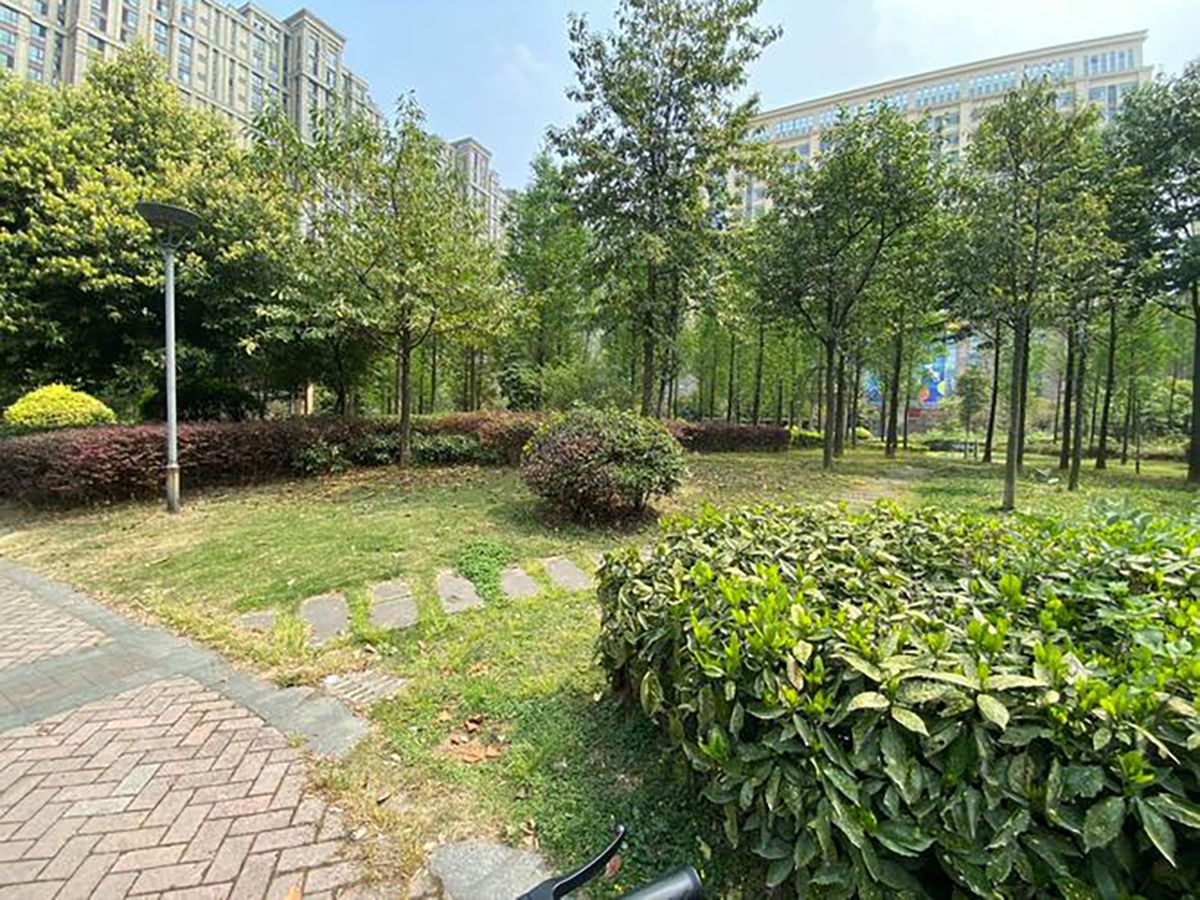 成都椿萱茂·珉湾长者社区实景图7