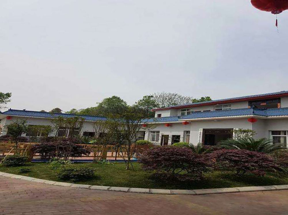成都金马河畔颐养小镇实景图