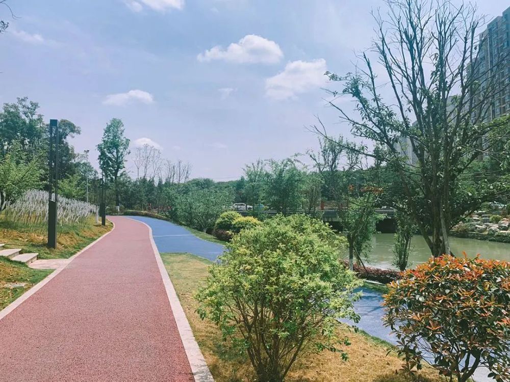 成都龙湖椿山万树梵城老年公寓(龙湖·滨江天街店)实景图2