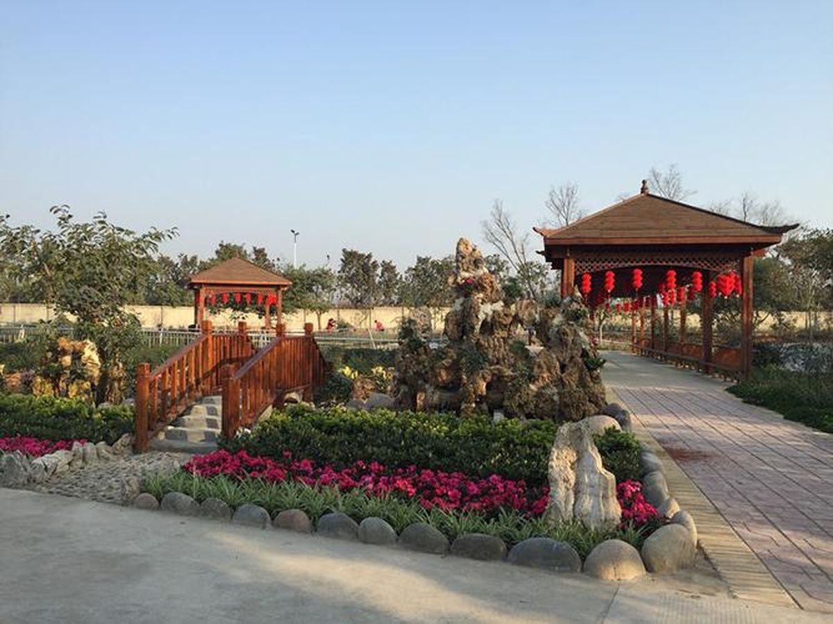 成都龙泉蓉东福寿养老院实景图4