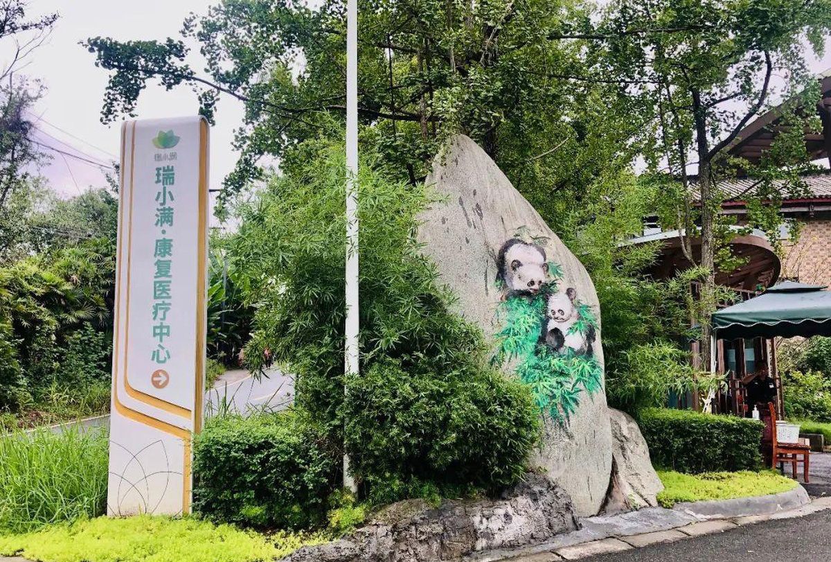 成都瑞小满杏花颐园实景图3