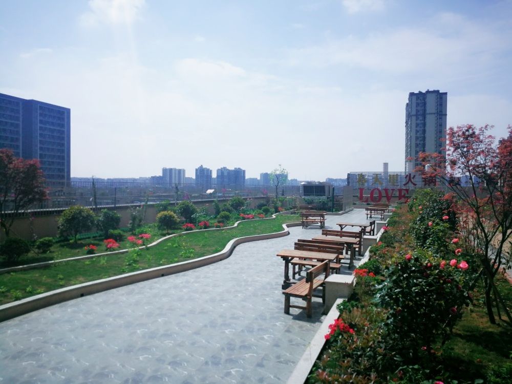 成都圣约瑟康复中心(建设路店)实景图