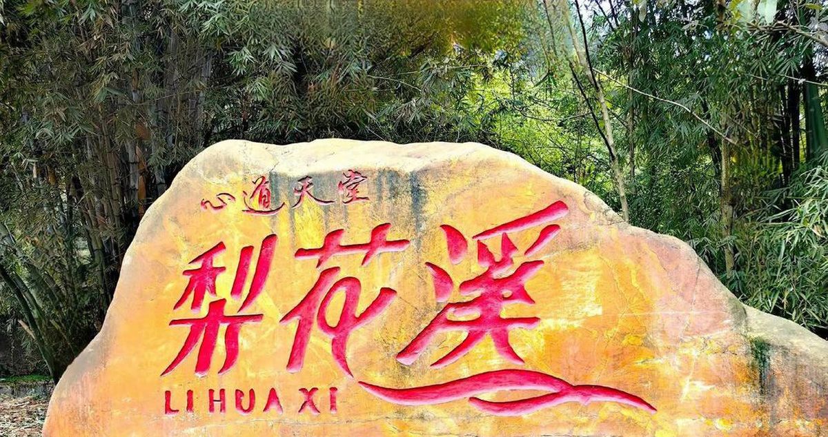 成都新津区梨花溪休闲养老中心实景图