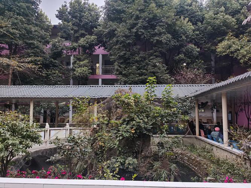 成都颐园生态休闲养老院实景图4